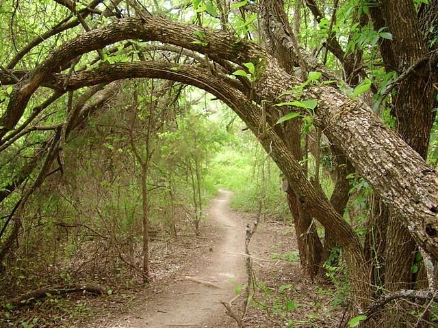 Erwin Park