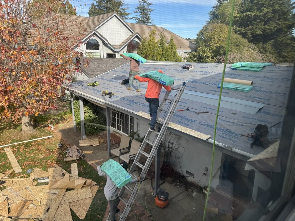 Fix My Roof Problems